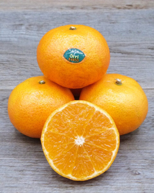 CLEMENTINE EXTRA ORRI PREMIUM