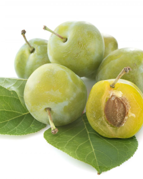 PRUNE REINE CLAUDE
