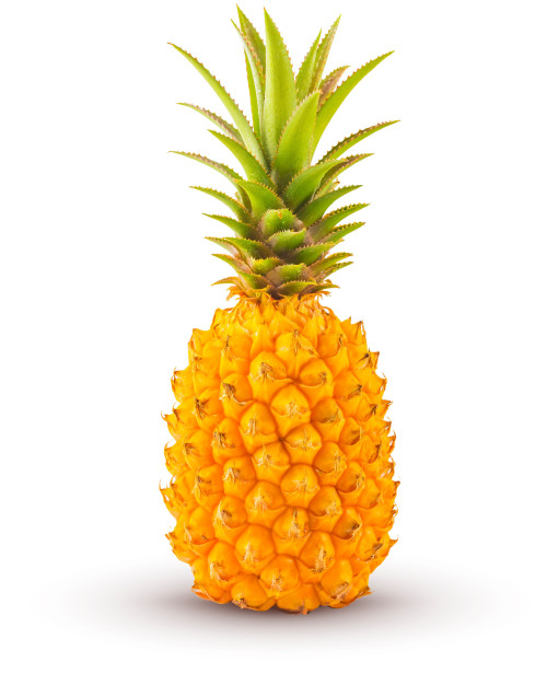 ANANAS VICTORIA