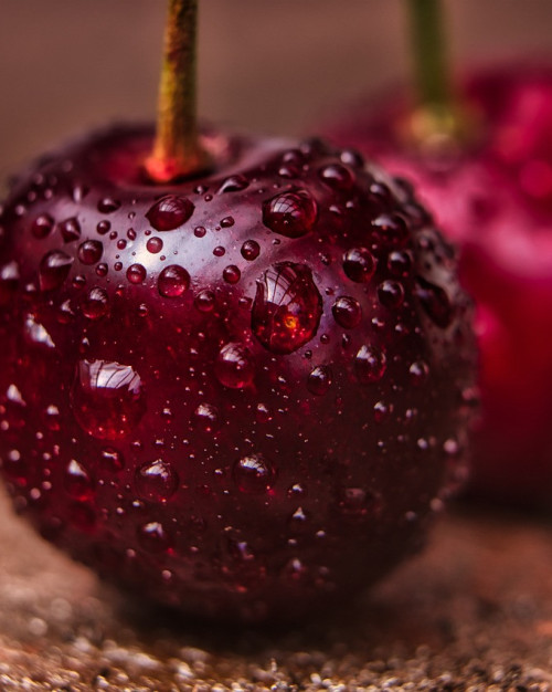 CERISE DES ARDENNES