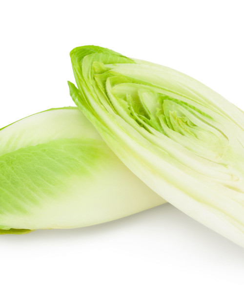 ENDIVE HOTELIERE