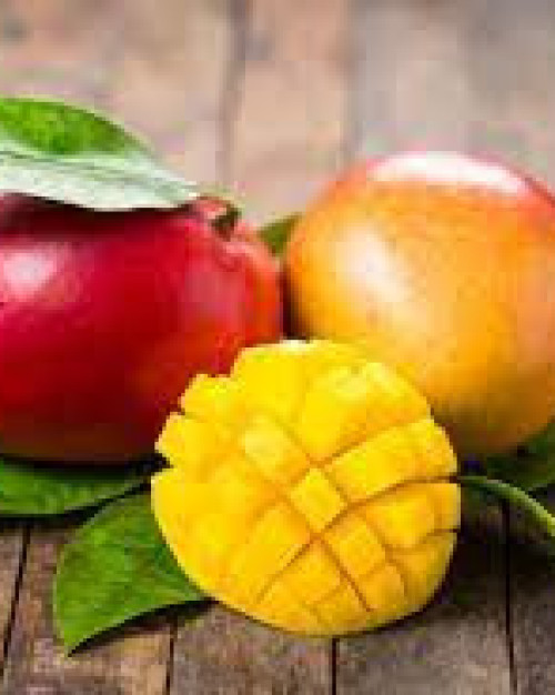 MANGUE EXTRA