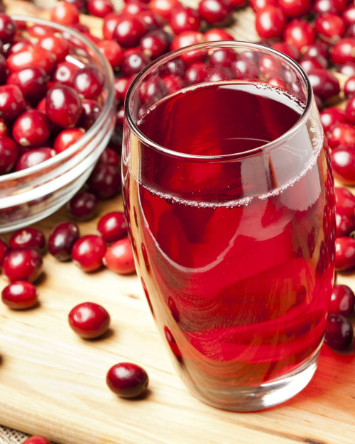 JUS DE CRANBERRY BIO