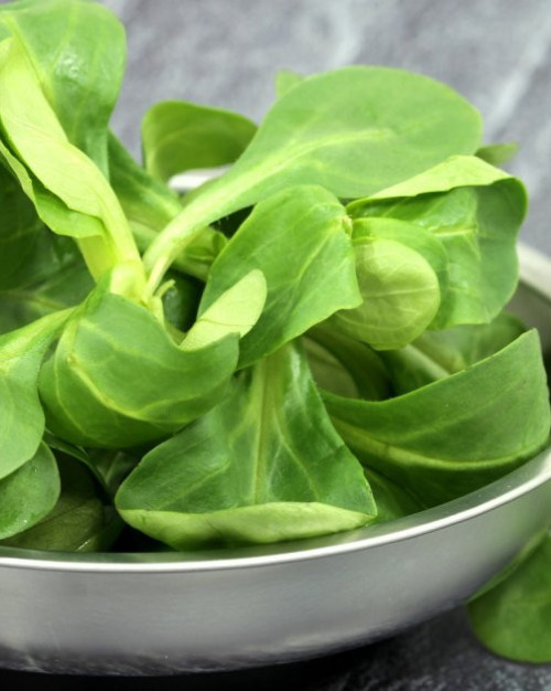 MACHE PRÊTE A ASSAISONNÉE