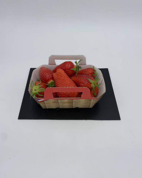 FRAISE DES FLANDRES