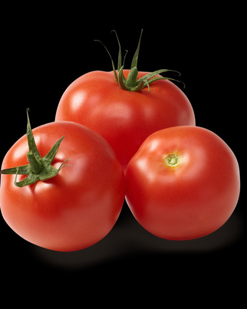 TOMATE DIRECT PRODUCTEUR