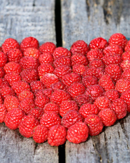 FRAMBOISE TULAMINE EXTRA FRANCAISE
