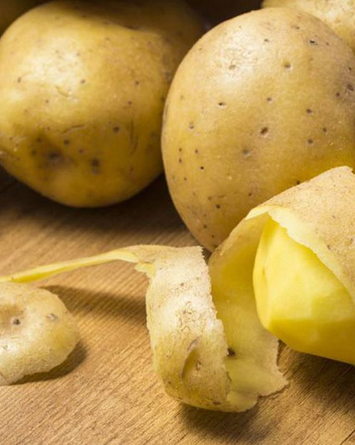 POMME DE TERRE SPUNTA