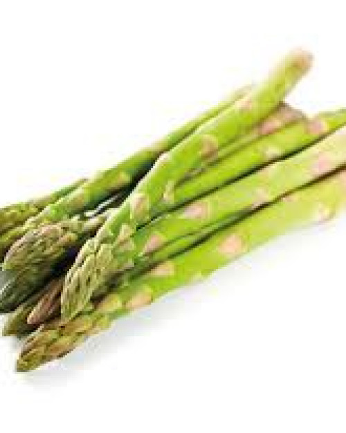 ASPERGE VERTE FINE EN BOTTE