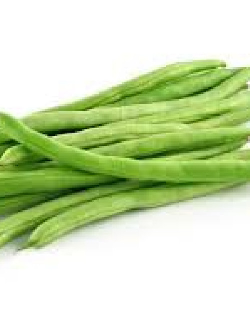 HARICOT VERT FIN CUEILLIT MAIN EXTRA