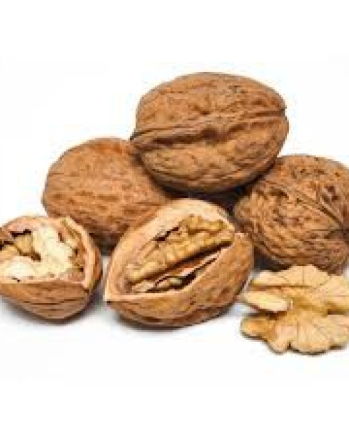 NOIX NOISETTE AMANDE EN COQUE