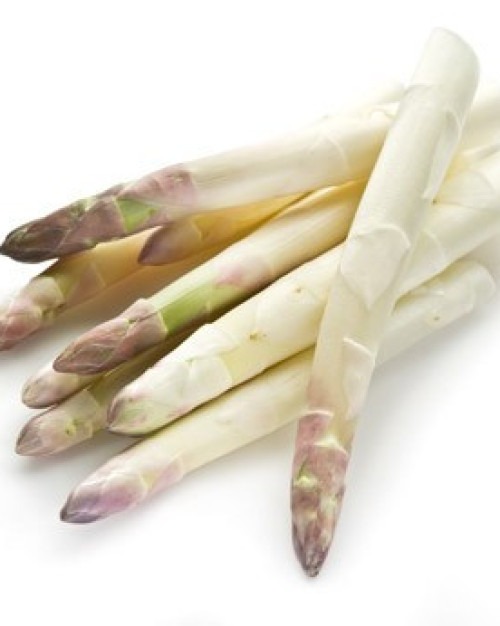 ASPERGE POINTE 