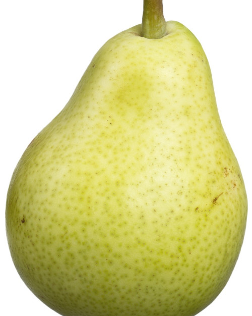 POIRE WILLIAM